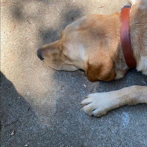 Meet your Posher, Todd